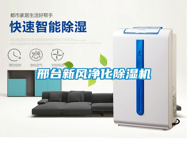 邢臺新風(fēng)凈化除濕機(jī)