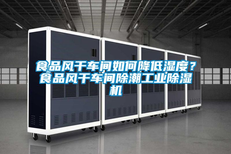 食品風干車間如何降低濕度？食品風干車間除潮工業(yè)除濕機