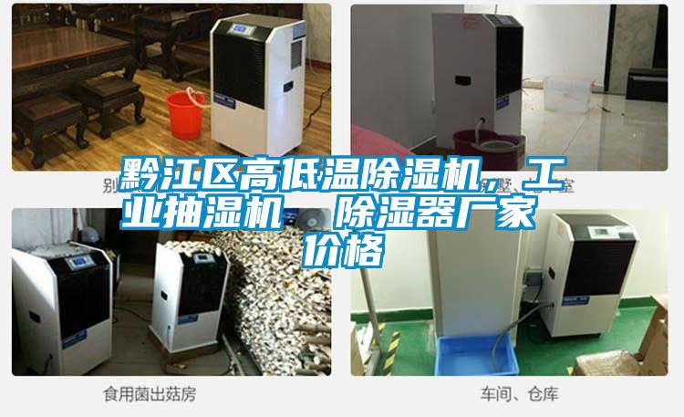 黔江區(qū)高低溫除濕機(jī)，工業(yè)抽濕機(jī)  除濕器廠家 價格