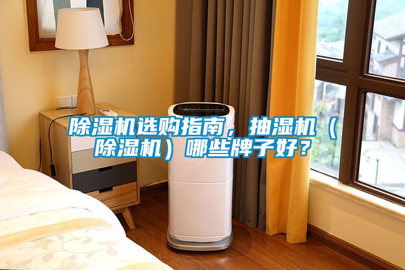 除濕機(jī)選購(gòu)指南，抽濕機(jī)（除濕機(jī)）哪些牌子好？