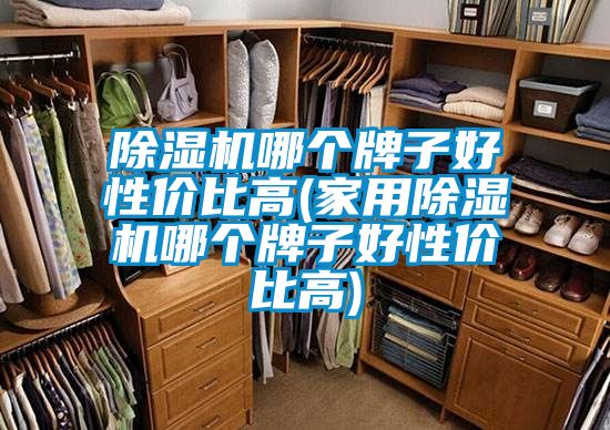 除濕機(jī)哪個牌子好性價比高(家用除濕機(jī)哪個牌子好性價比高)