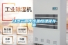 珠海智能防潮箱哪個牌子好(新動向：2022已更新)