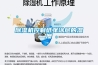 除濕機在防潮除濕方面有用嗎？看你放哪里