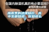 梅雨季的地理知識，高中生都知道，你知道么？