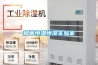 除濕機十大品牌：高品質(zhì)的除濕體驗