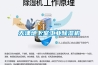 型除濕機，家用除濕機，家用除濕器，除濕機直銷