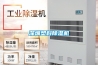 抽濕機(jī)（除濕機(jī)）哪個牌子好？