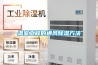 濟(jì)寧調(diào)溫除濕機(jī)生產(chǎn)廠家(今日／要點(diǎn))