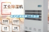 長期住一樓的危害，一樓潮濕用除濕機有用嗎