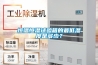 熱風(fēng)除濕干燥機(jī)價(jià)格