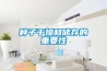 除濕機廠家眾多，謹慎選不買錯